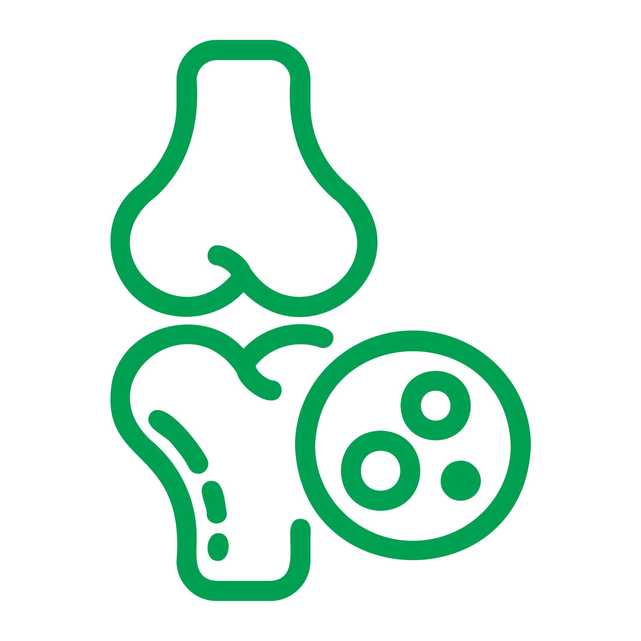 Rheumatology & Immunology